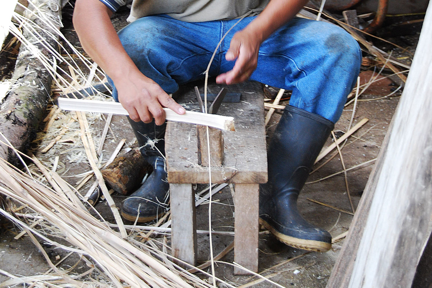 Preparación de tiras de bambú